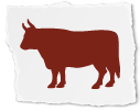 Cow Icon