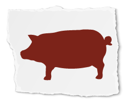 Pig Icon