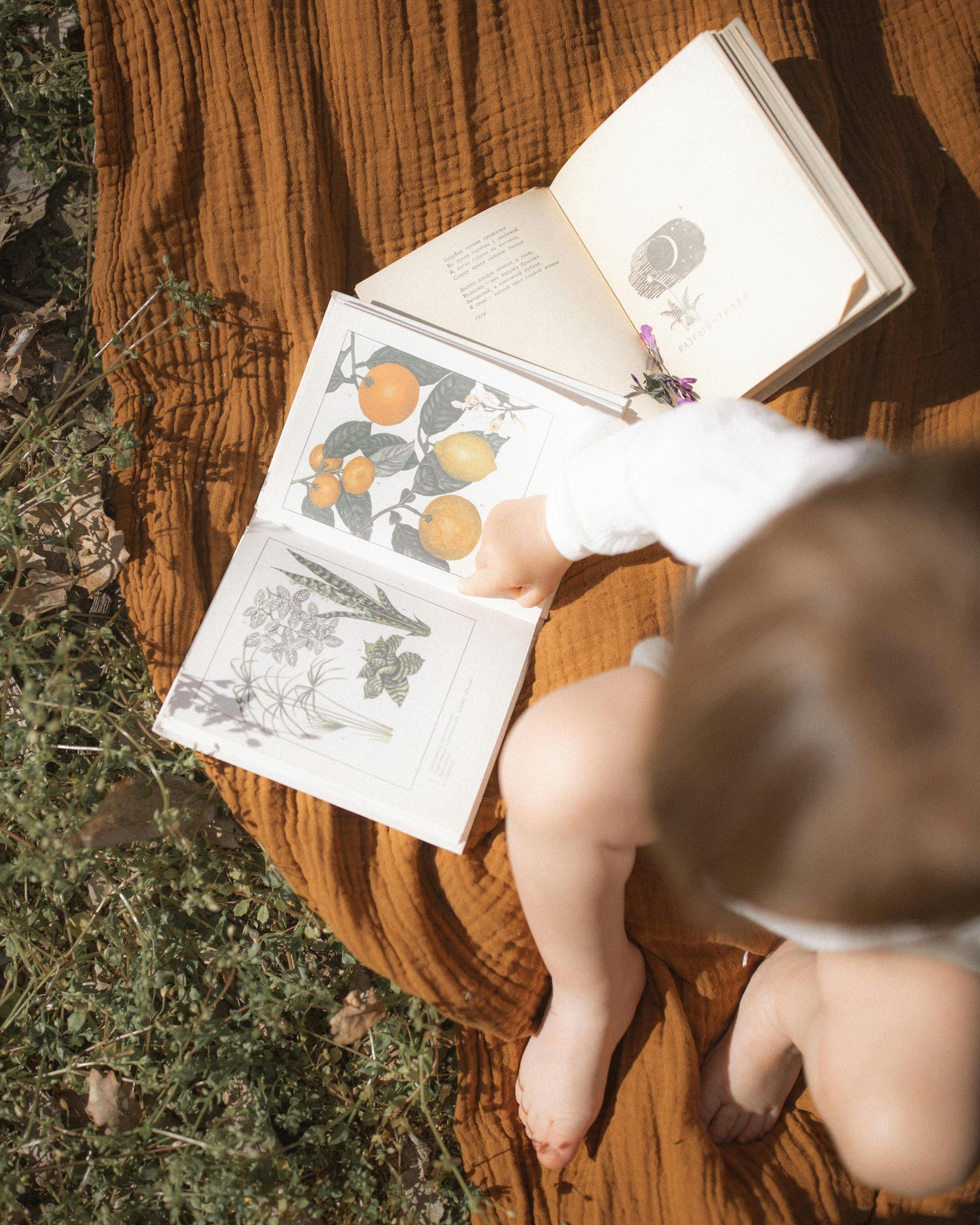 A baby is sitting on a blanket reading a book.