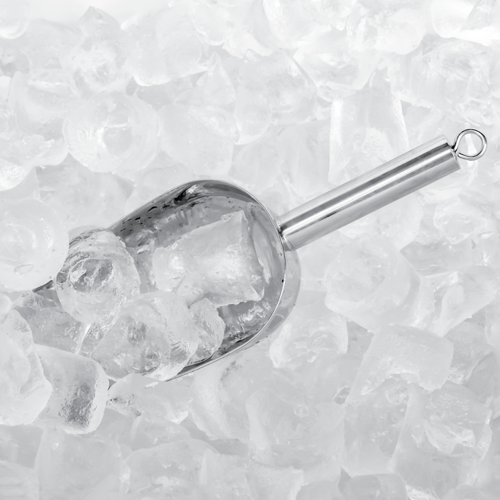 Ice scoop in a bed of crushed ice