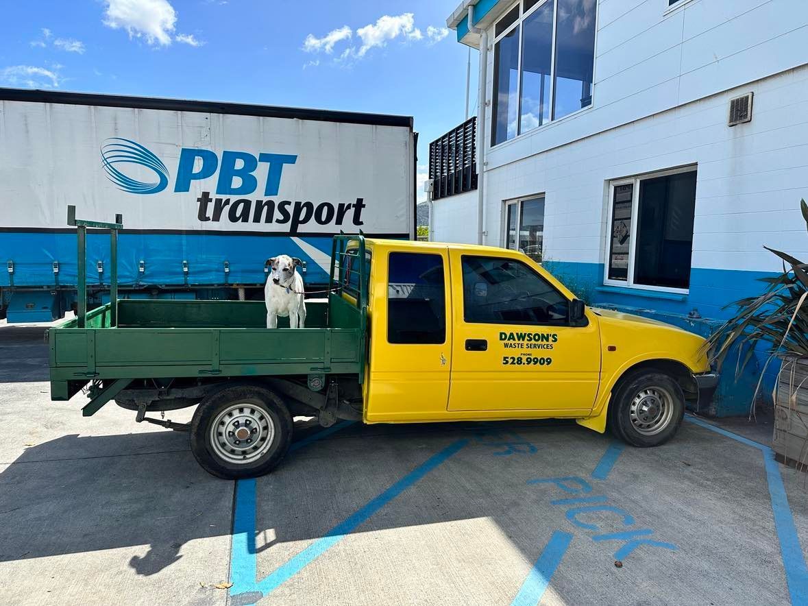 A yellow truck with a dog in the back is parked in front of a pbt transport truck.
