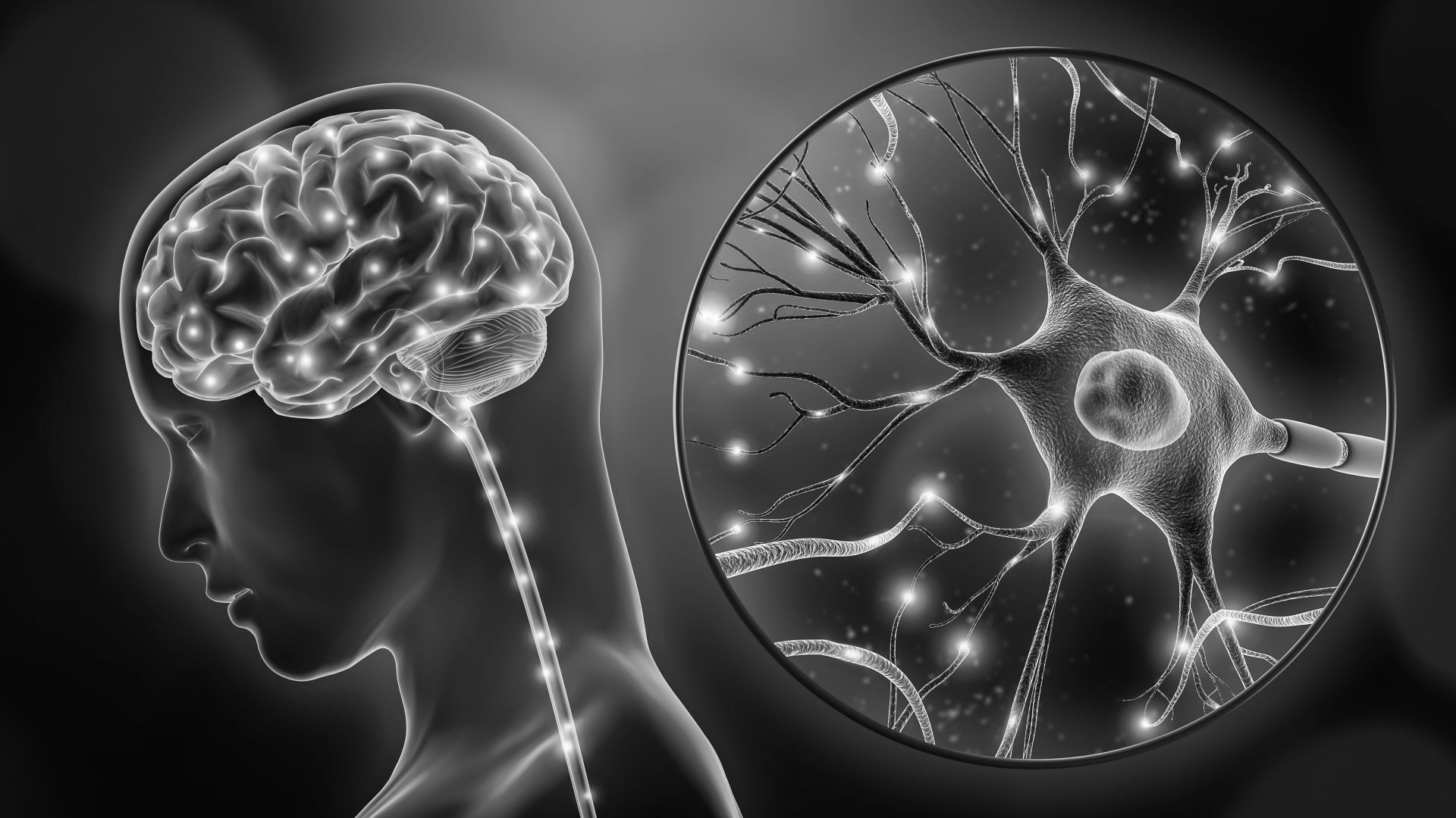 New Jersey Brain, Spine & Orthopedic Doctors & Surgeons Neurology