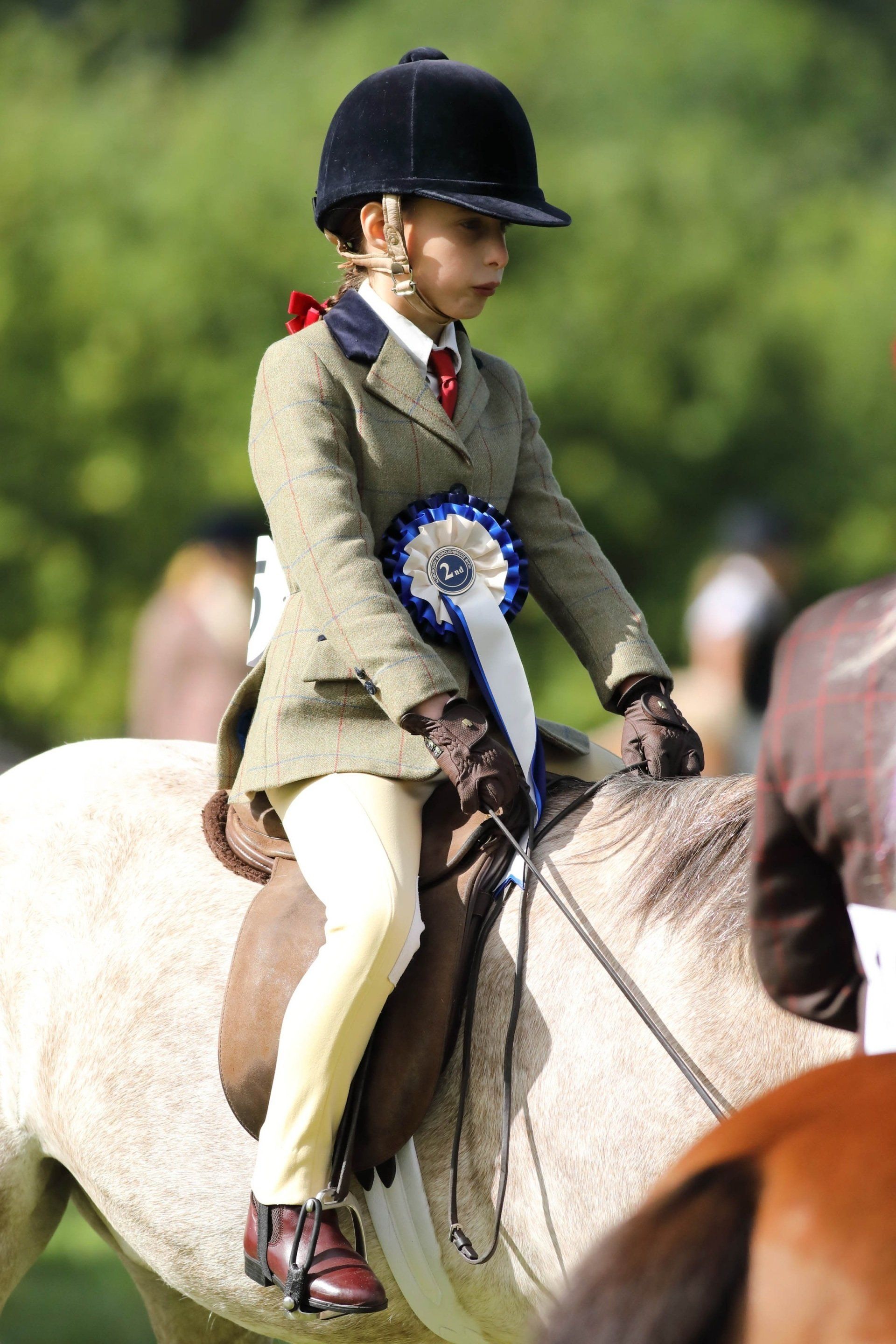 Equine Schedules