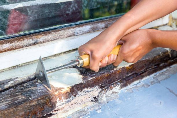 Carpenter scraping and repairing rotted wood window