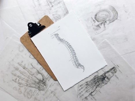 A clipboard with a drawing of a spine on it.