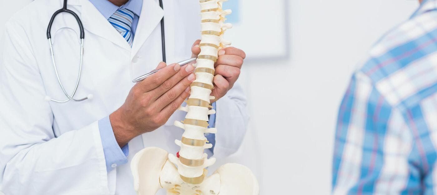 A doctor is holding a model of a spine in front of a patient.