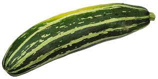 A green and yellow striped cucumber on a white background.