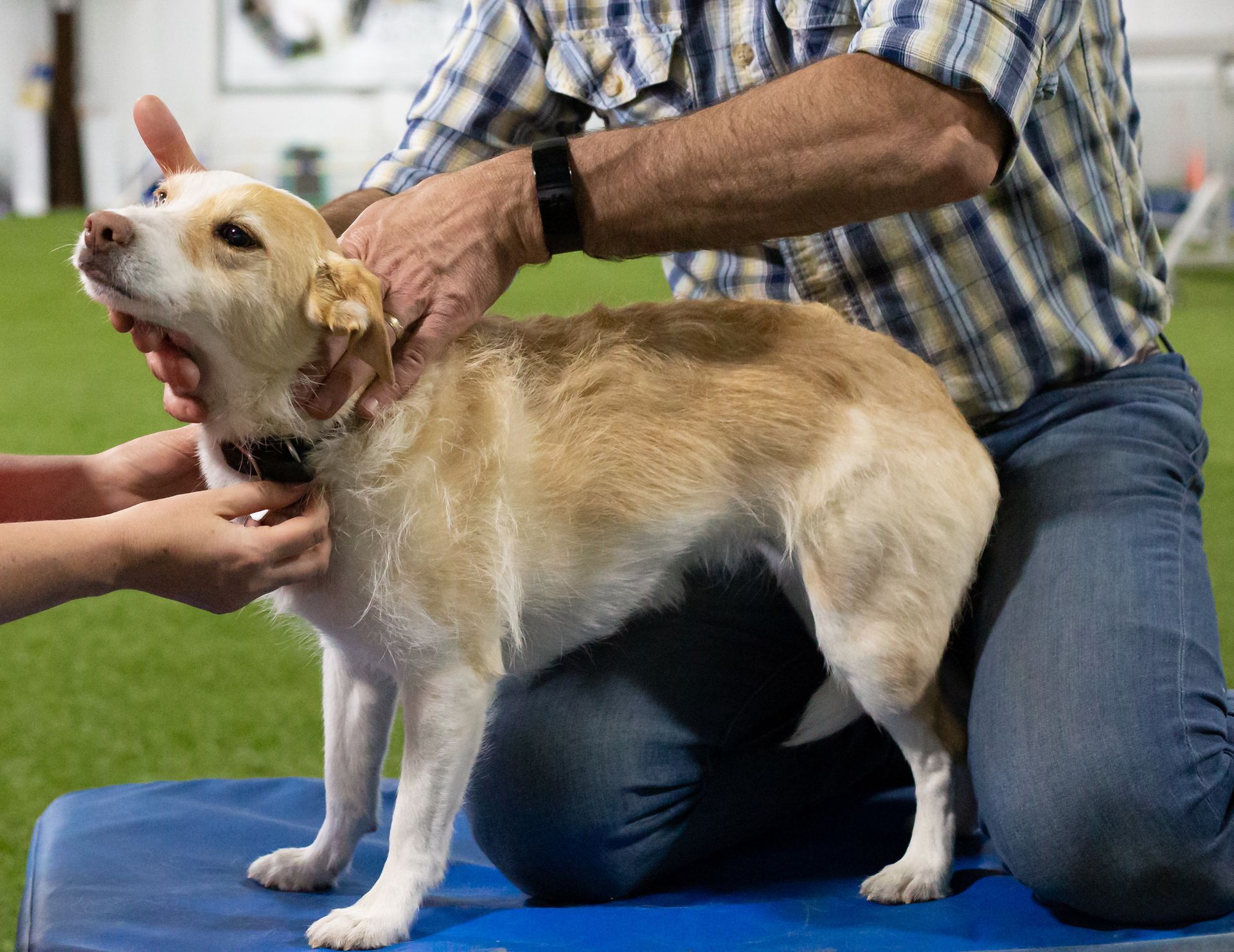 A man is kneeling down next to a dog with its mouth open.