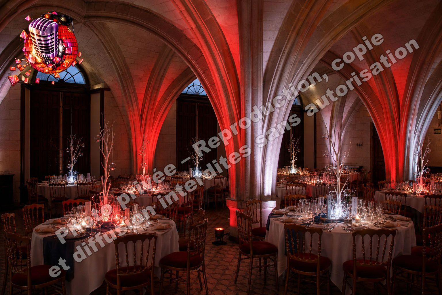 abbaye de longpont aisne 02 mariage décoration led salle gothique jean eric dj animation