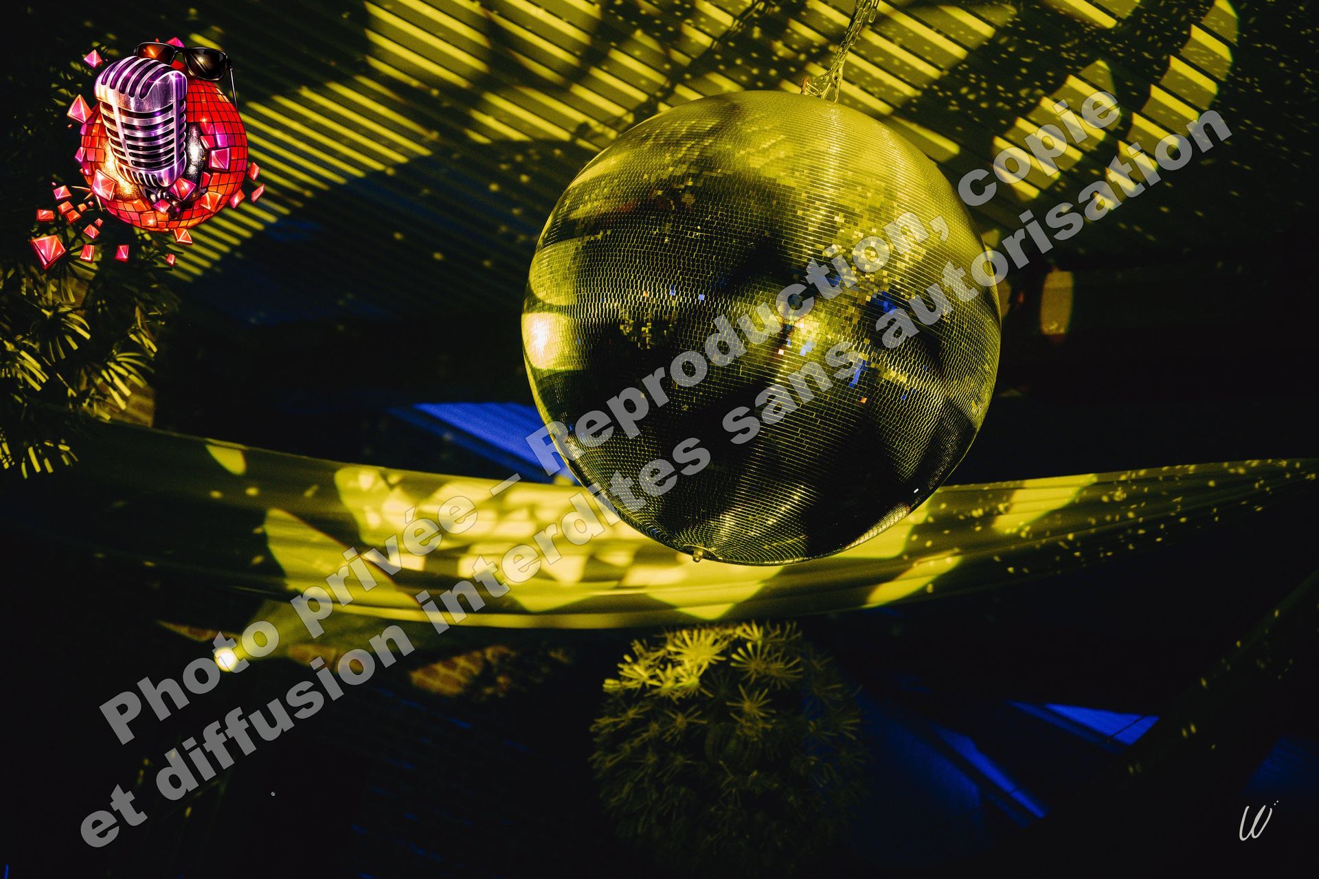 domaine du mont rouge rogecourt mariage jean eric dj animation boule a facette 1 metre 02