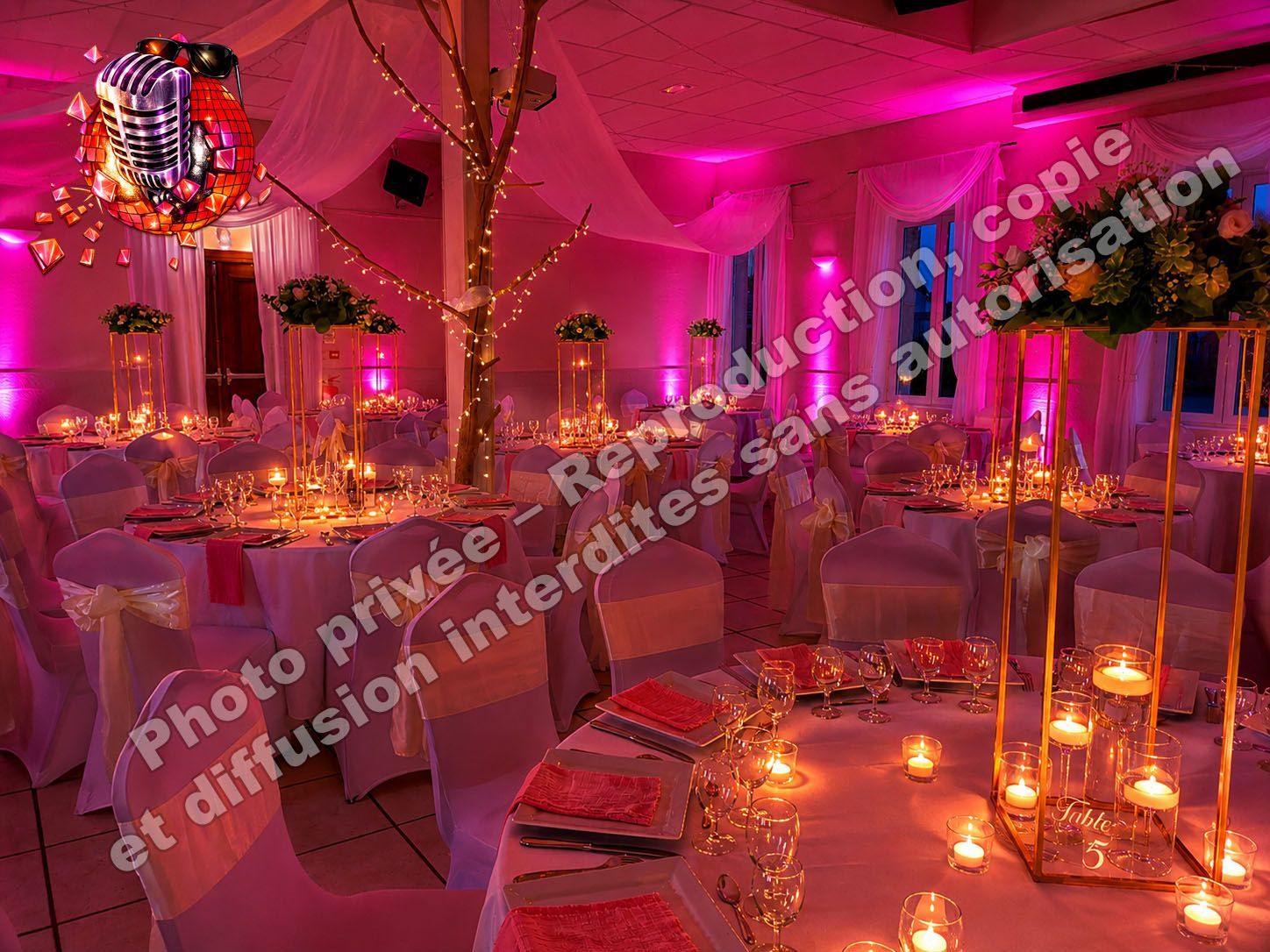 domaine du mont rouge jean eric dj animation aisne rogecourt décoration led ambiance mariage