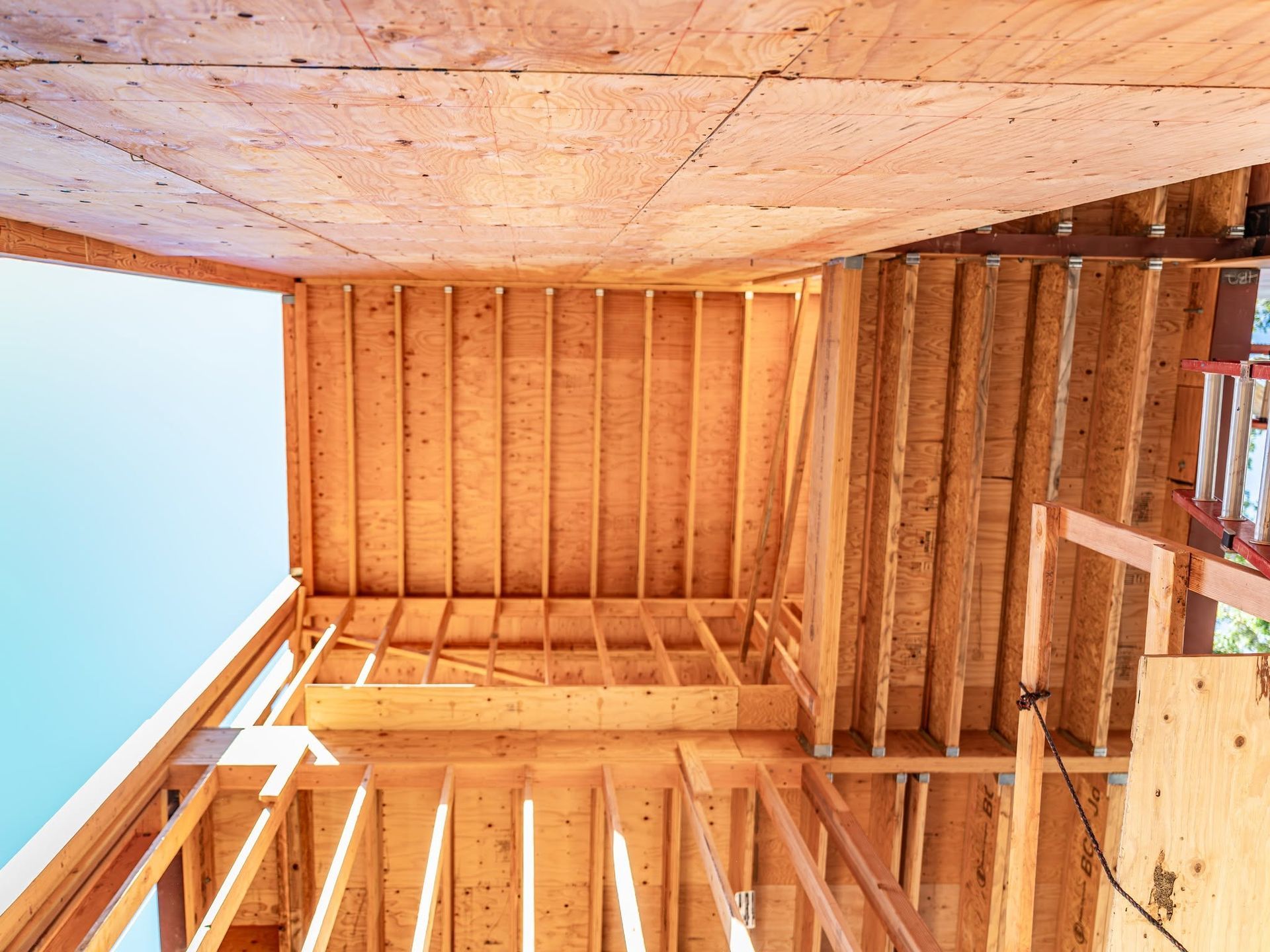 Looking up inside a wooden unfinished structure with exposed beams and plywood walls.