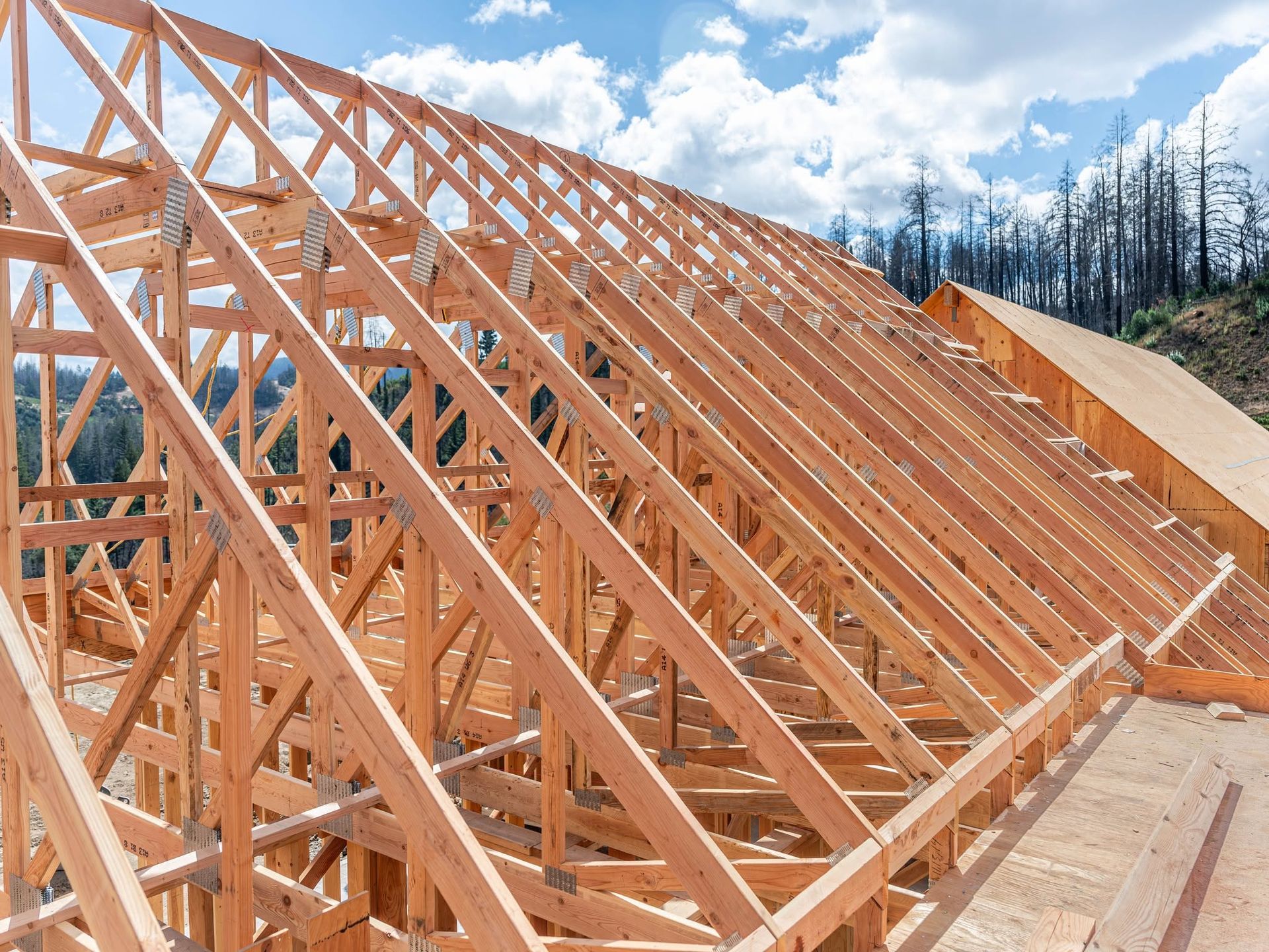 Wooden roof trusses under construction on a house frame against a blue sky