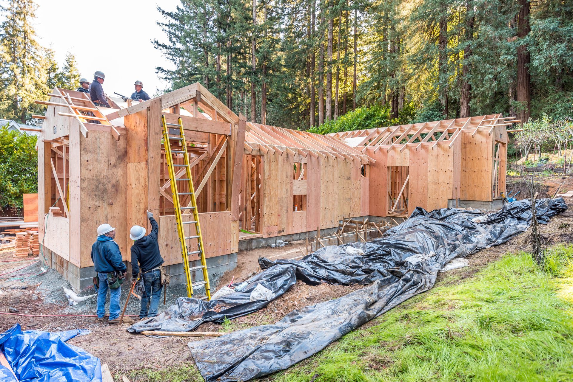 Workers framing a wooden house under construction in a forest clearing with ladders and tarps