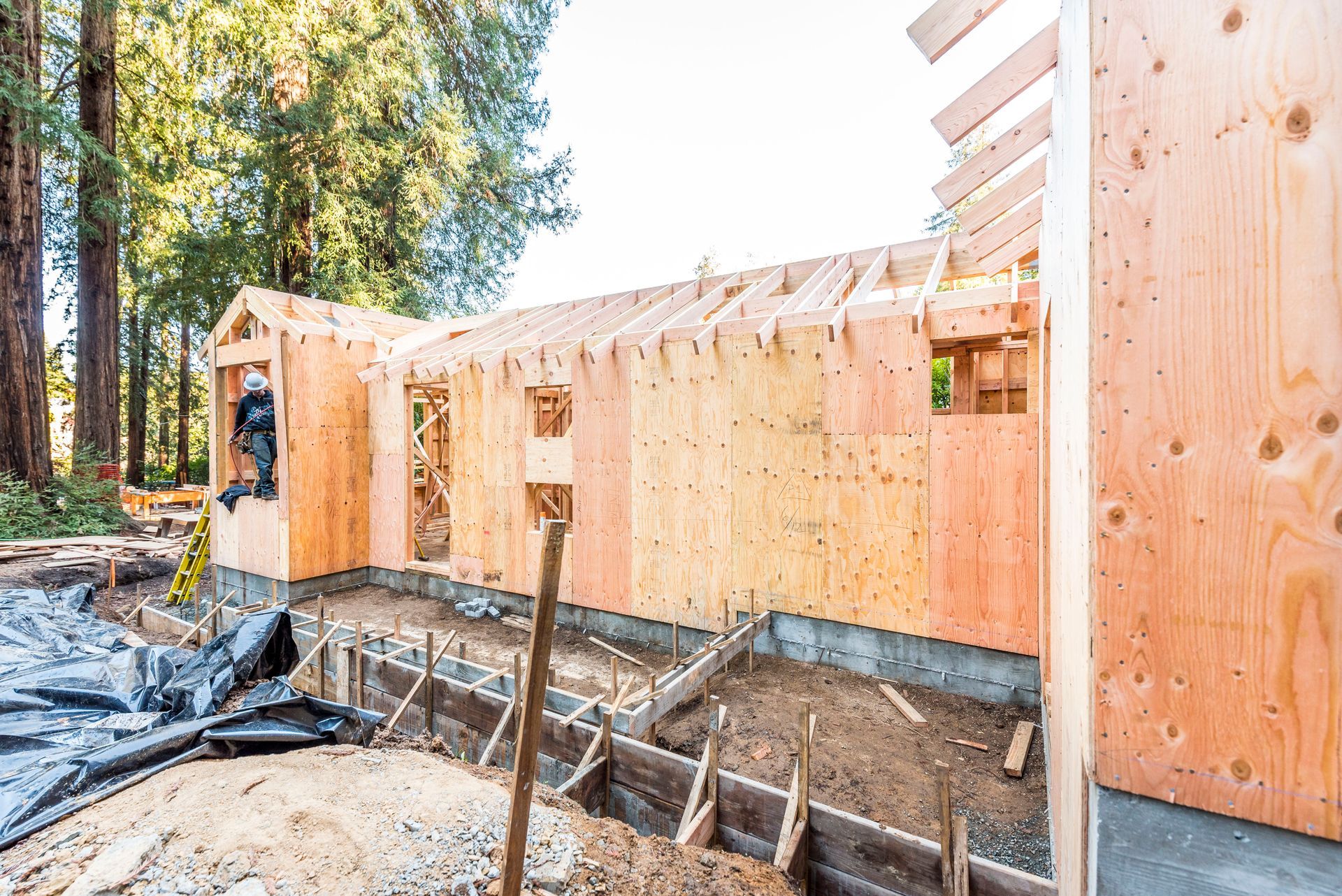 Wooden house framing under construction with plywood walls and concrete foundation in a wooded area