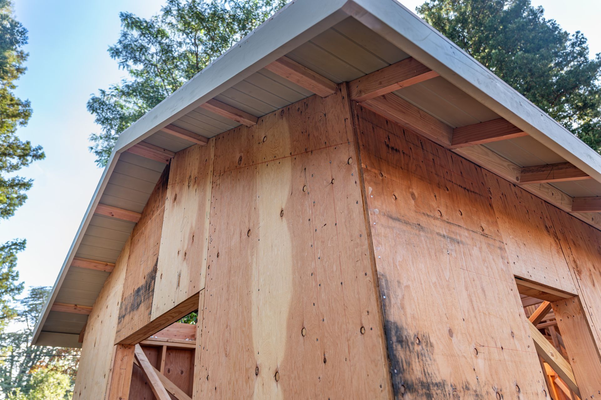 Partially built wooden shed with exposed plywood walls and corrugated roof under trees