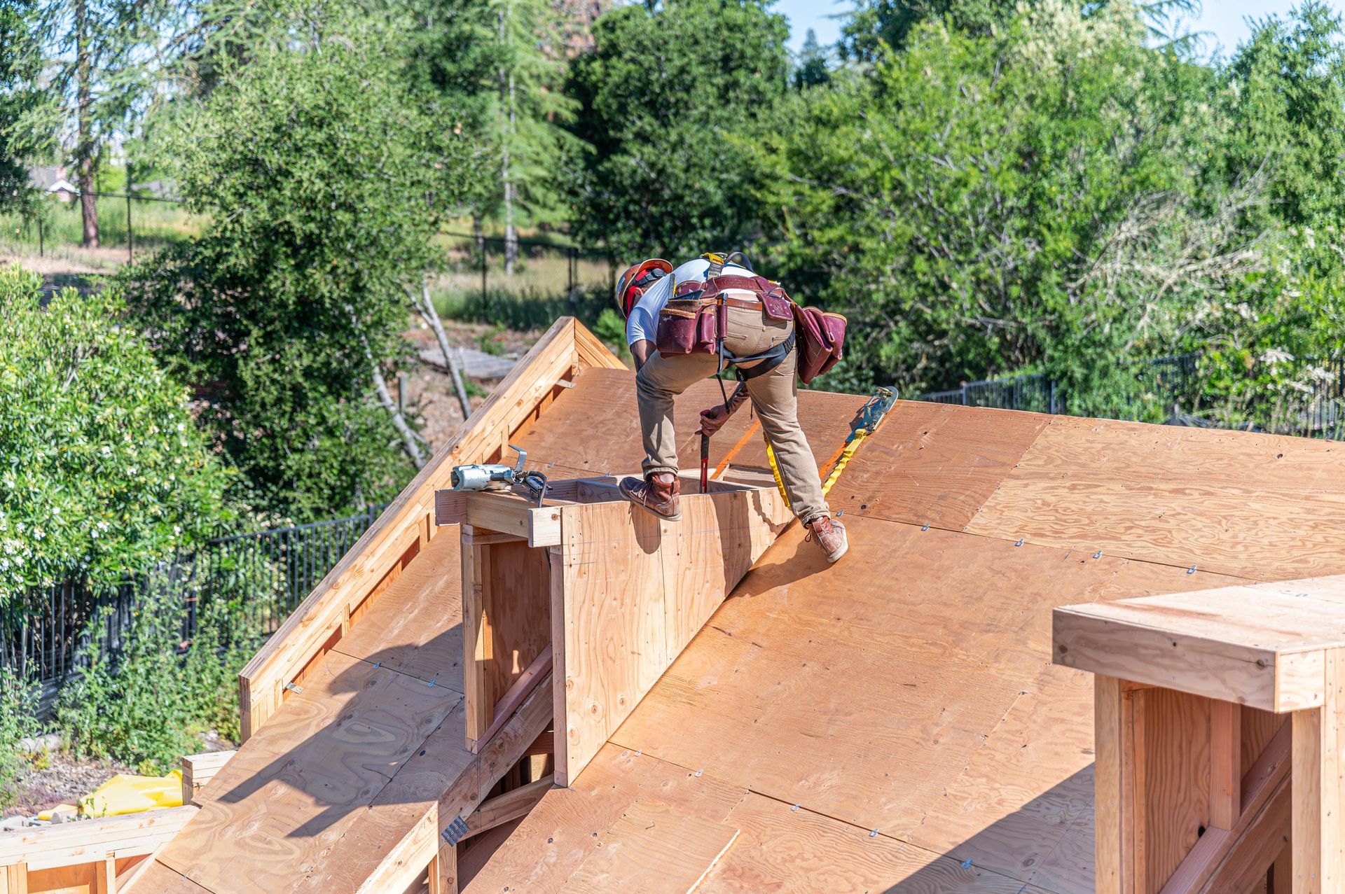 Worker on a roof installing plywood sheathing beside a leafy backyard.