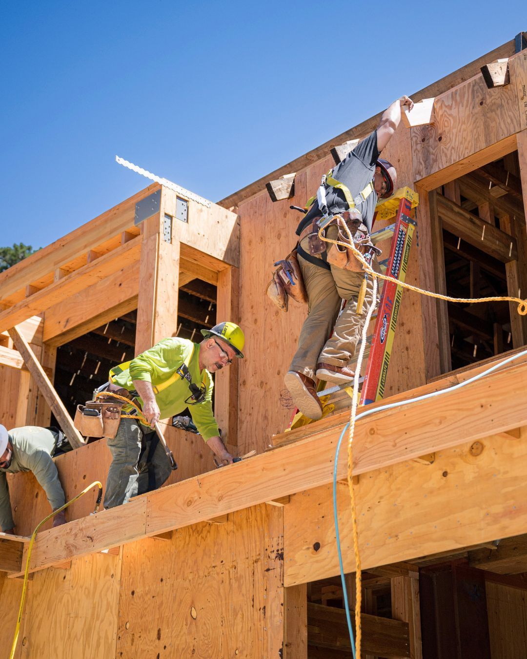 Construction workers on a wooden building frame, one on a ladder and others on the roof with safety ropes.