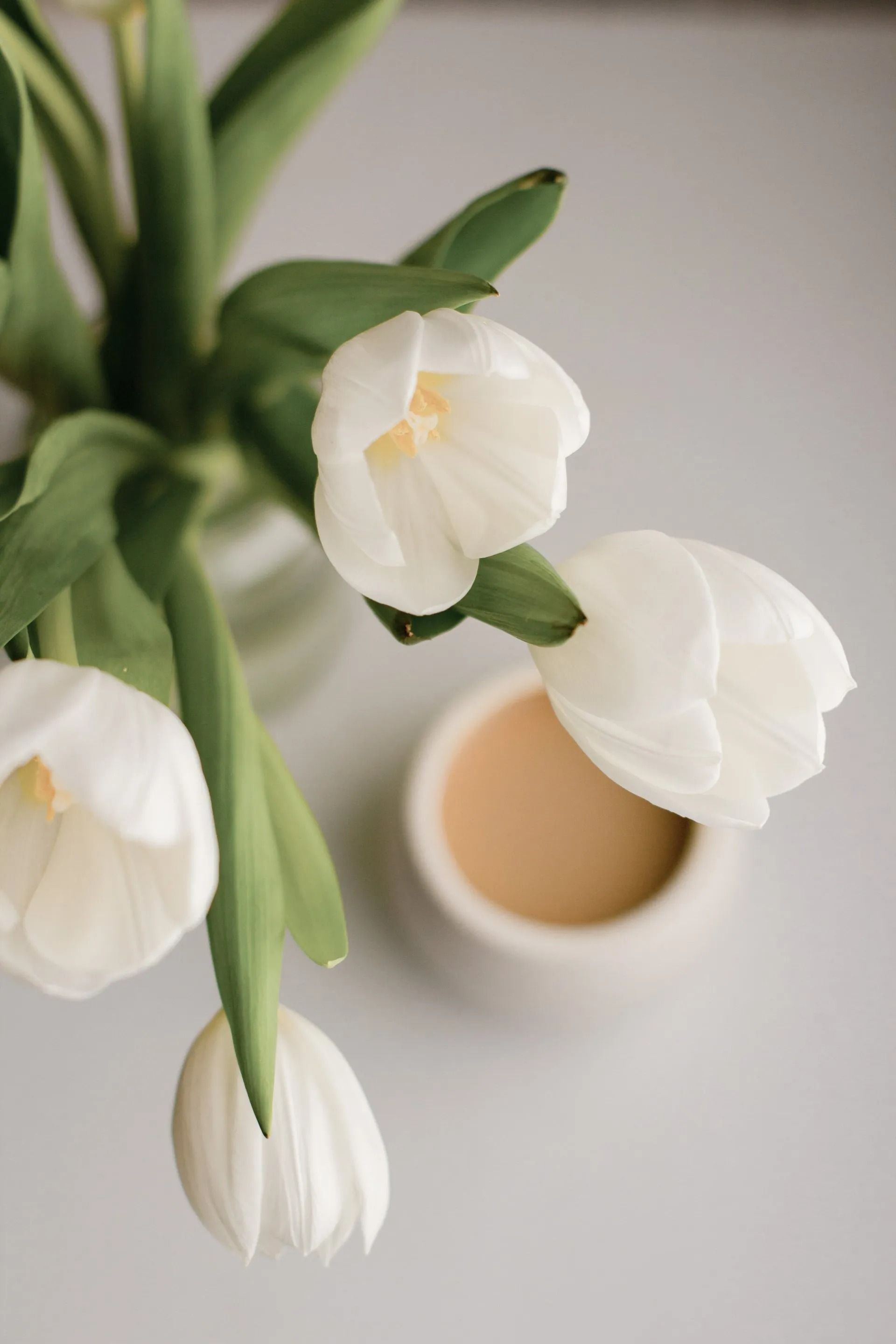 White tulips in a vase beside a beige candle on a light surface