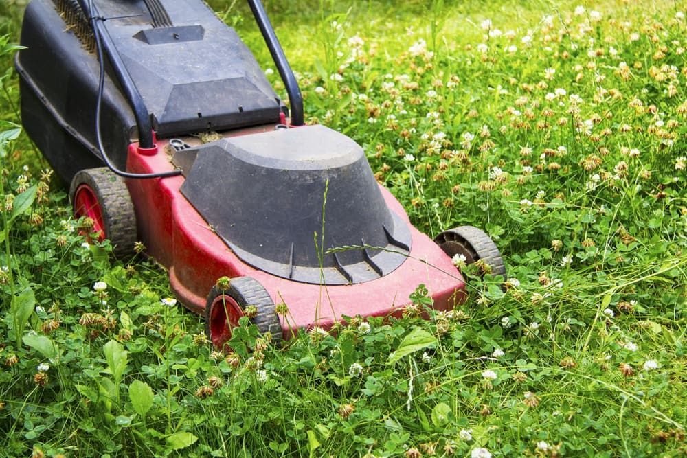 A Red Lawn Mower Is Cutting A Lush Green Field Of Grass — Rocky Small Motor Service In Rockhampton, QLD