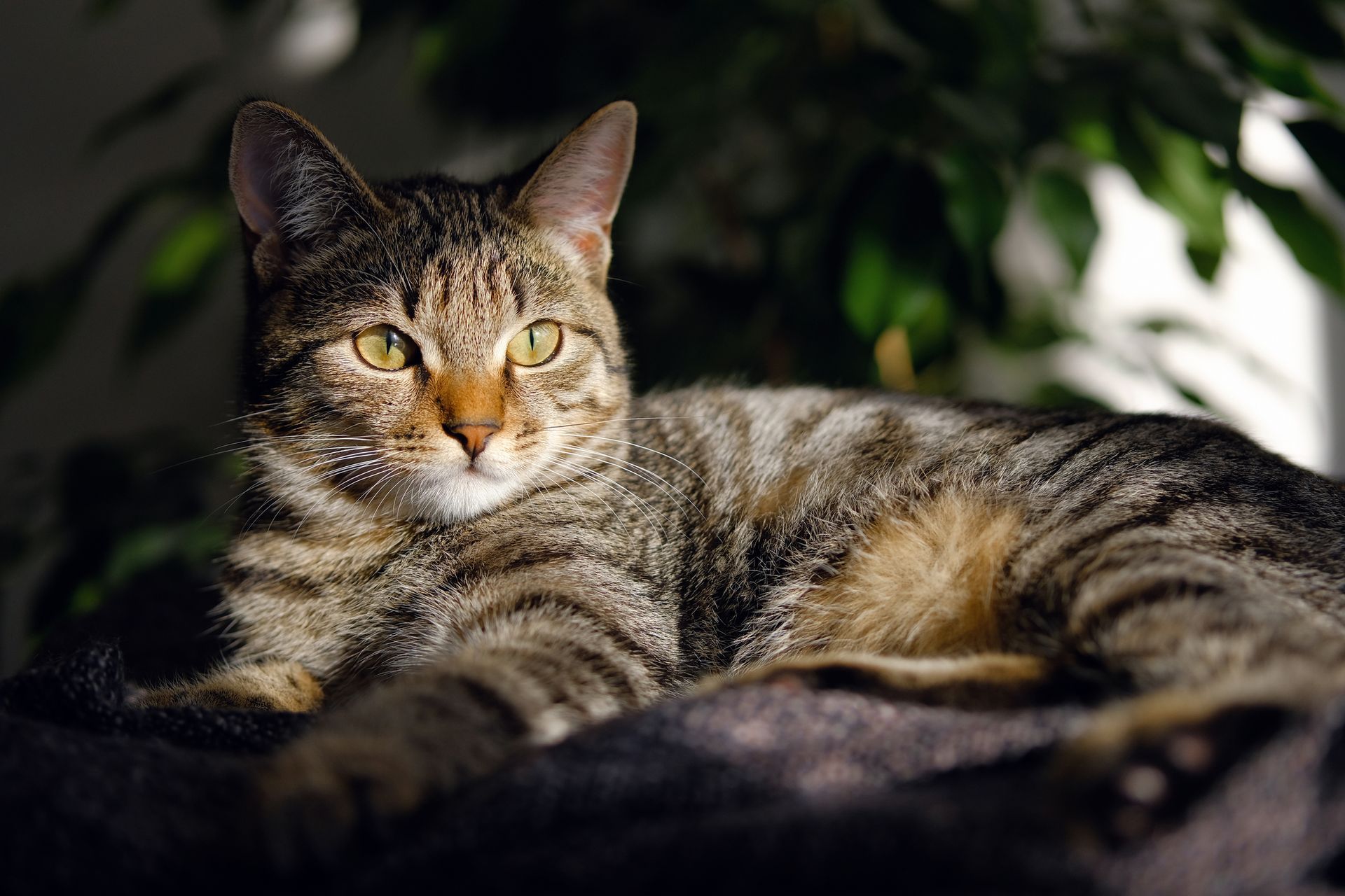 Perth award winning photographer| Margaret River
