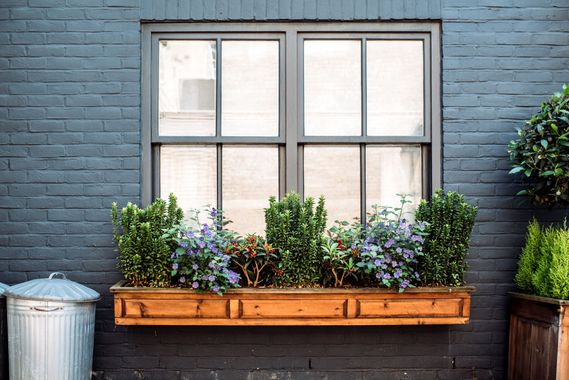 White-framed window above a wooden planter box with green flowers on a dark brick wall