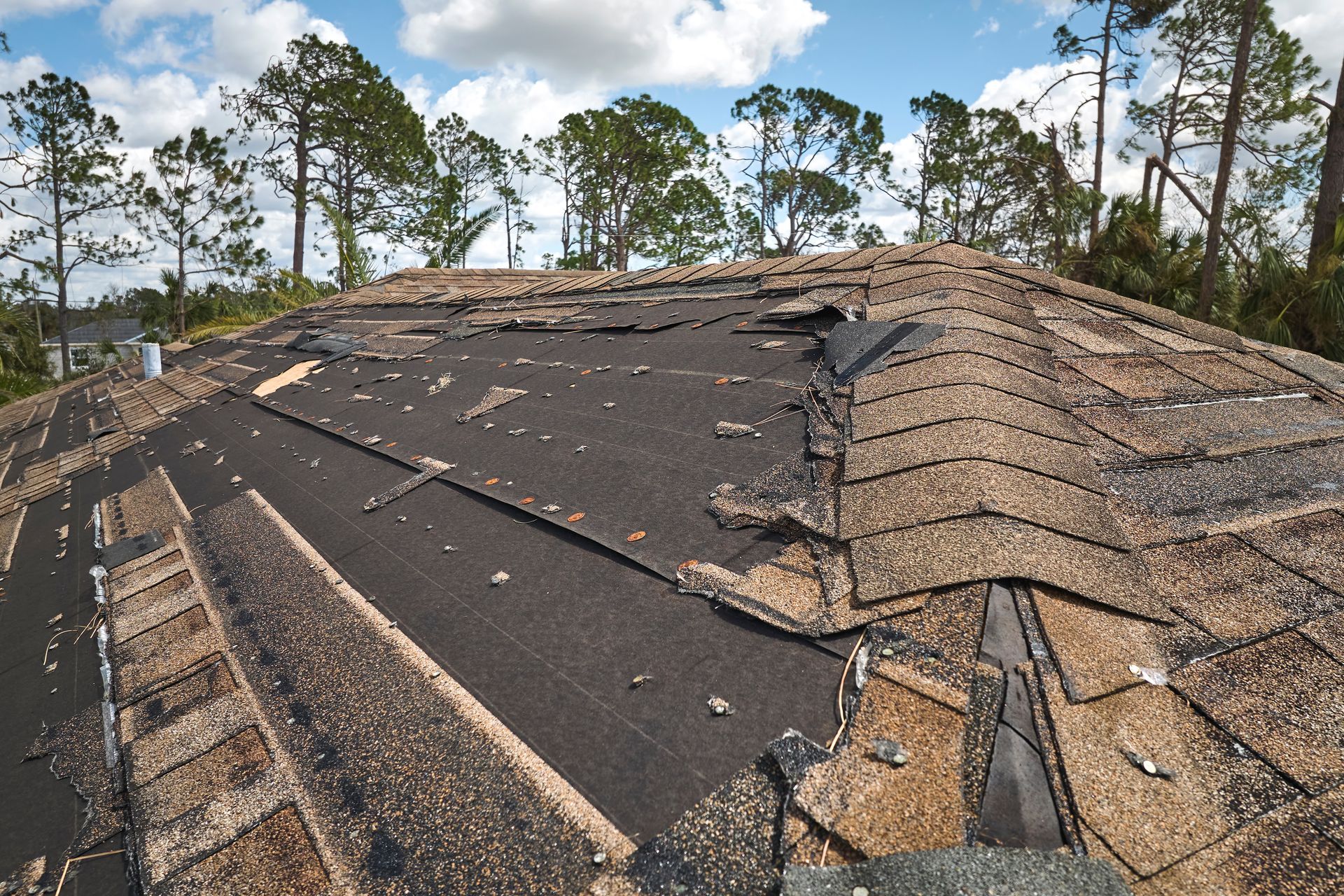 Damaged roof with missing shingles and exposed underlayment amid pine trees after storm damage Damaged roof with missing shingles and exposed underlayment amid pine trees after storm damage