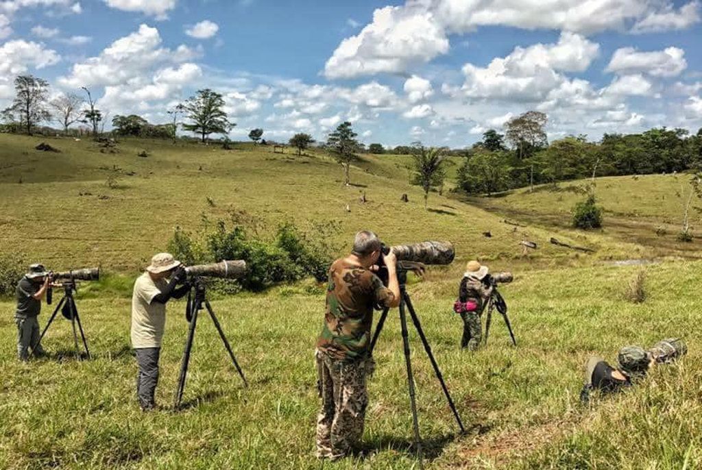Birdwatchers in Costa Rican, Northern Dry Tropics