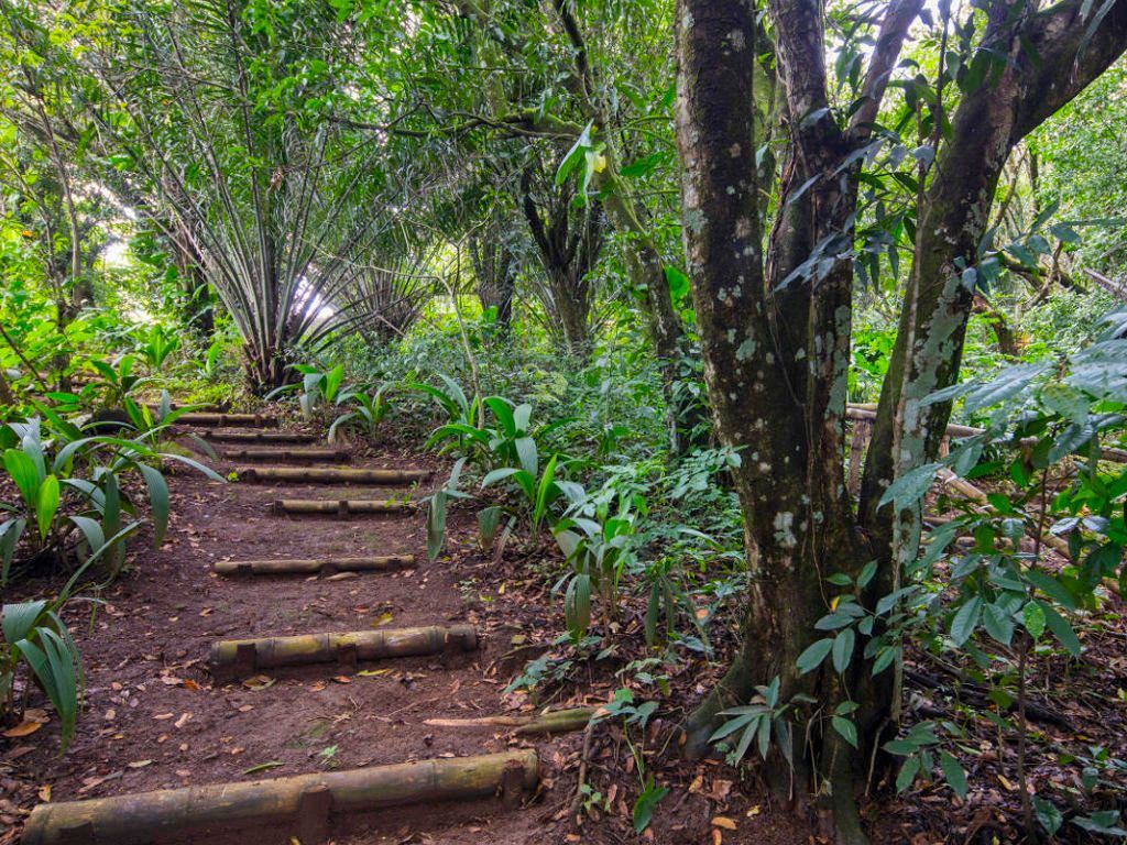 Birding trails at Hotel Villa San Ignacio Costa Rica