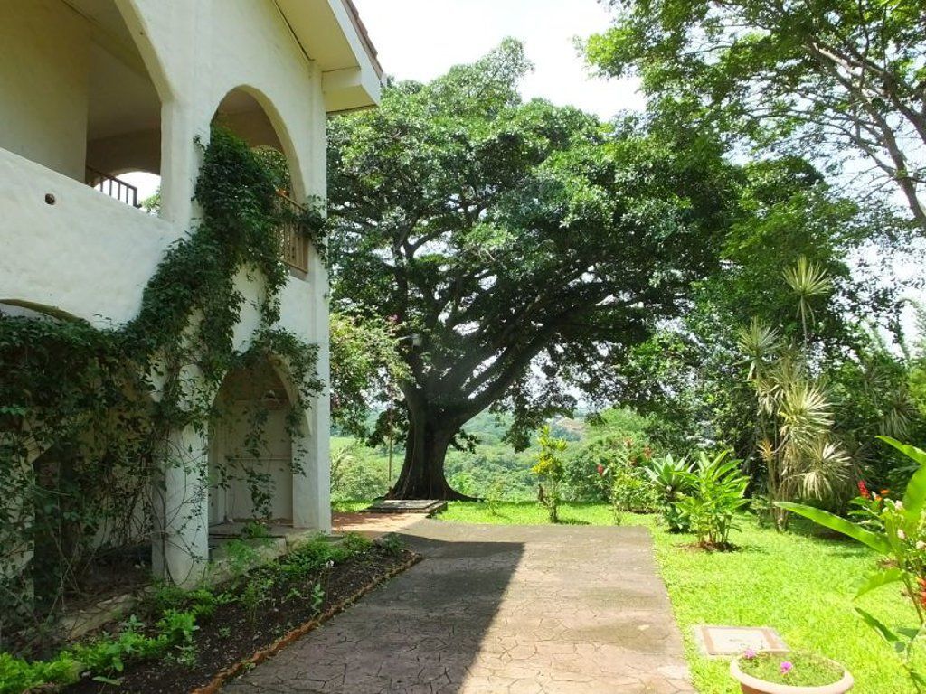 Villa San Ignacio birding gardens
