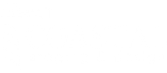 A white background with a few lines on it
