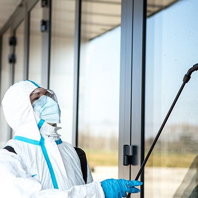 Pest Control — Melbourne, VIC — Barnsley Cleaning Services & Pest Control Pest Control — Melbourne, VIC — Barnsley Cleaning Services & Pest Control