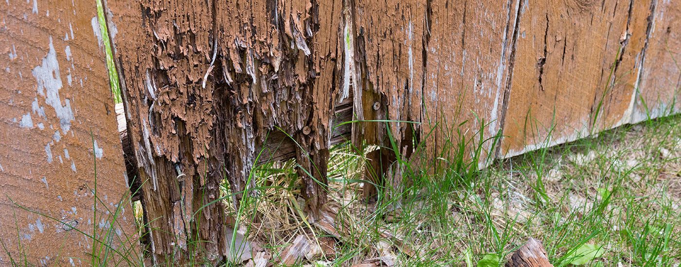 Rotted Fence Post Repair Scunthorpe