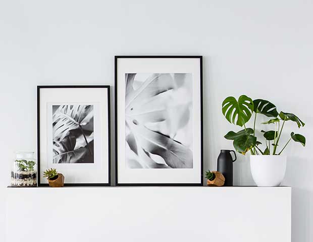 Fine Art Prints