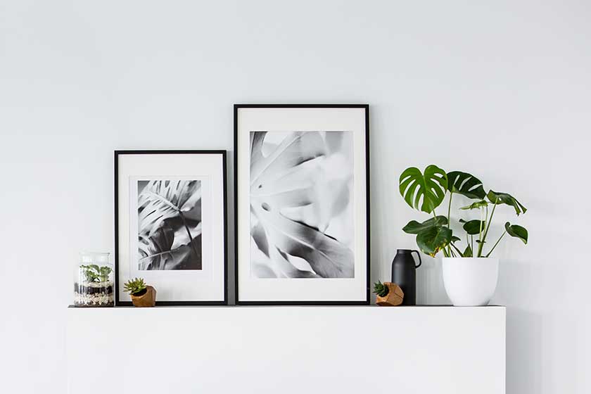 Fine Art Prints