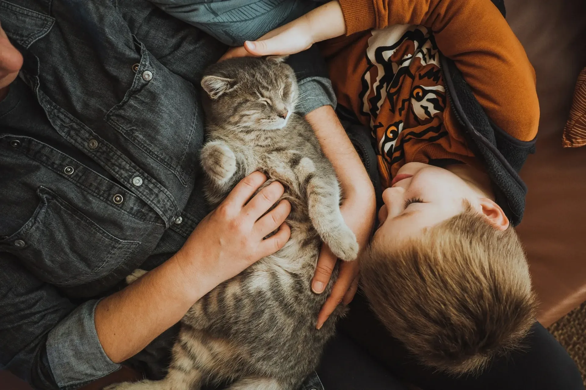 A child and an adult cuddle a sleeping cat.