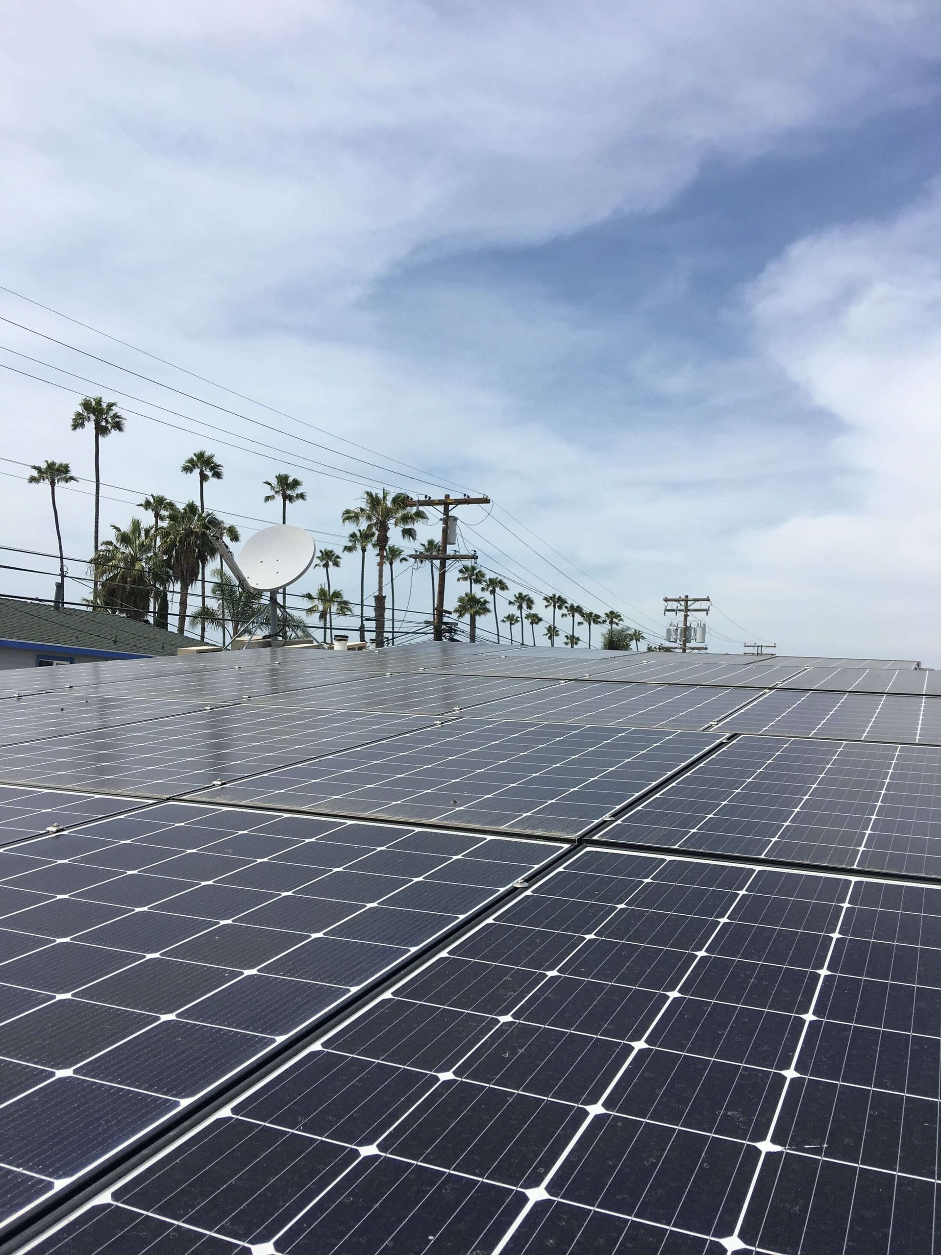 Solar panels in a large array under a bright sky, with palm trees in the background.