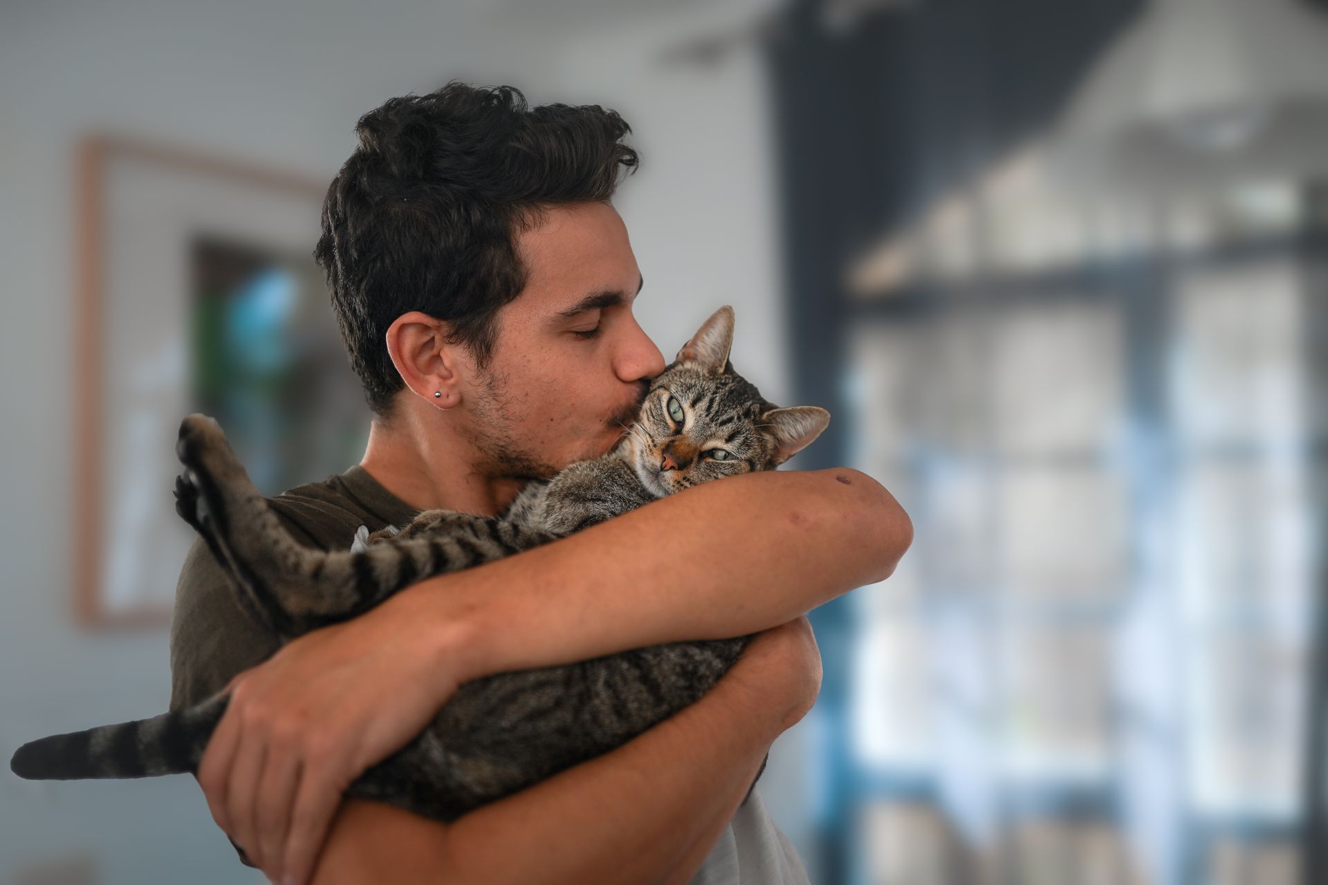 Friends of felines salem oregon