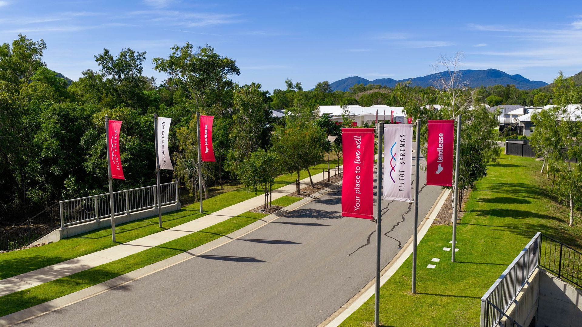 Tree-lined Road With Pink Banners, Flags — UAScend Aerial Solutions in Townsville, QLD