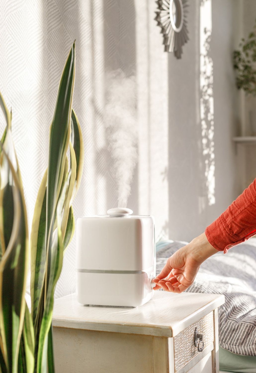 Humidifier on nightstand next to plant; hand adjusts settings, steam rising. Sunlit bedroom.