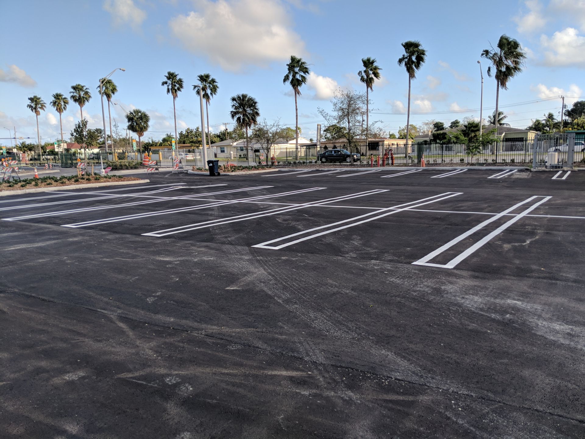 A freshly paved parking lot with white painted lines and rows of palm trees under a bright blue sky.