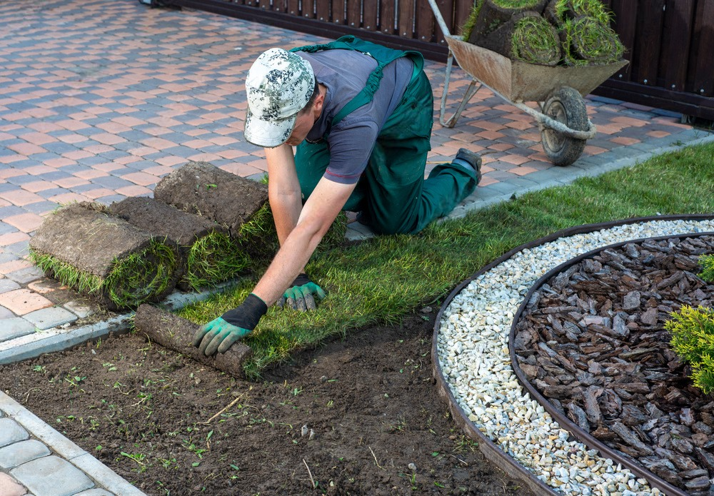 Landscape Corp Landscape Installation | C and T Landscaping Corp