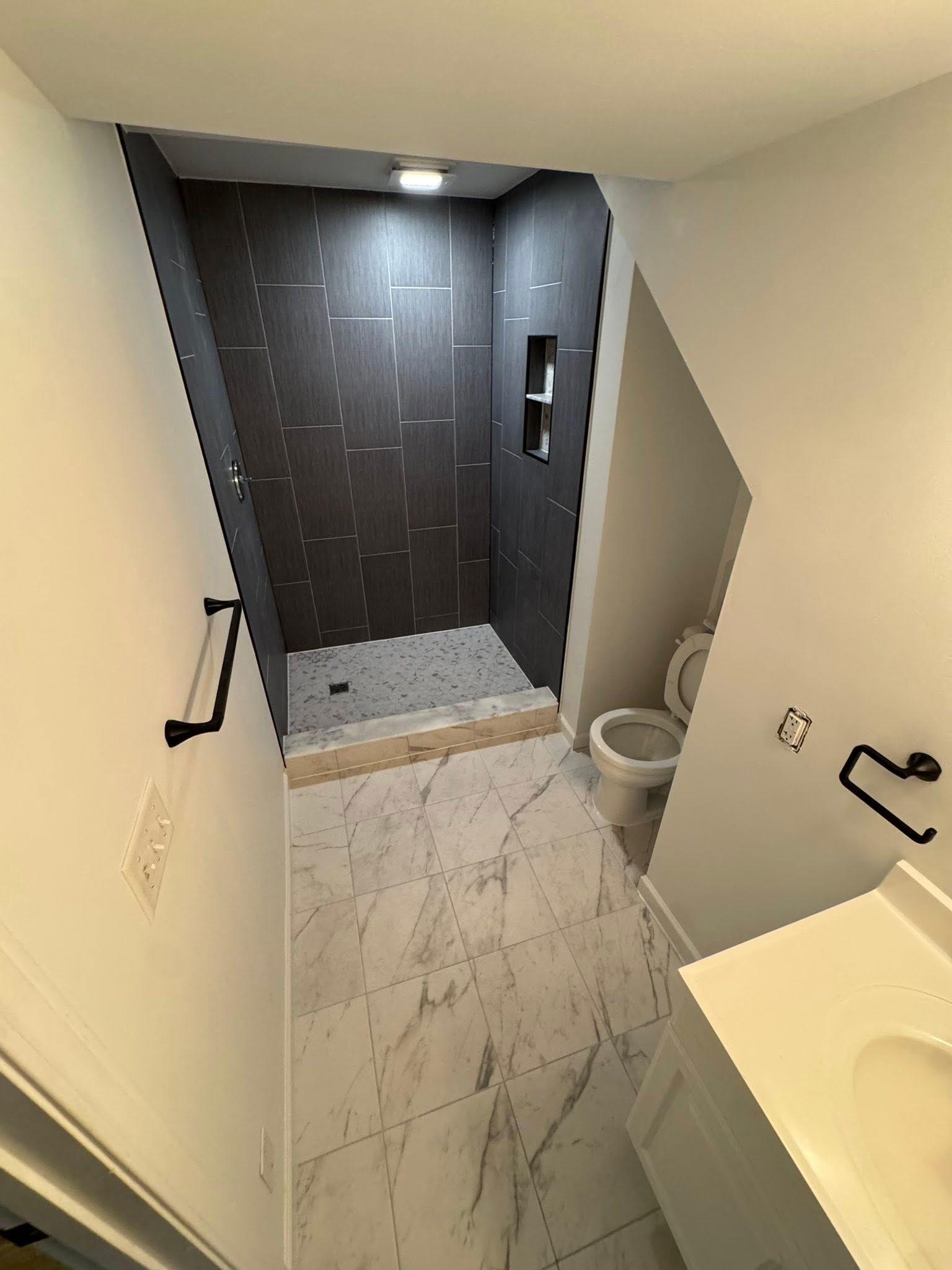 Accessible bathroom with shower, toilet, and sink, viewed from the doorway with grab bars and step-down floor