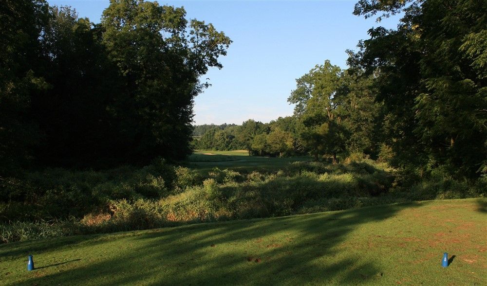 A lush green field with trees in the background and a golf ball in the foreground.