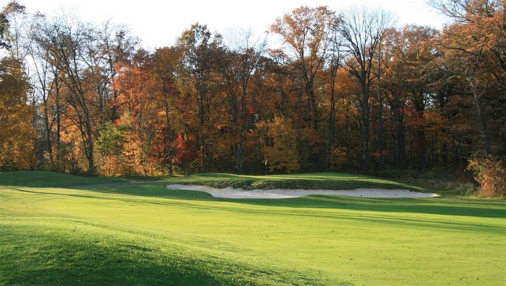 A golf course with trees in the background on a sunny day
