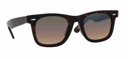 Un par de gafas de sol sobre un fondo blanco.