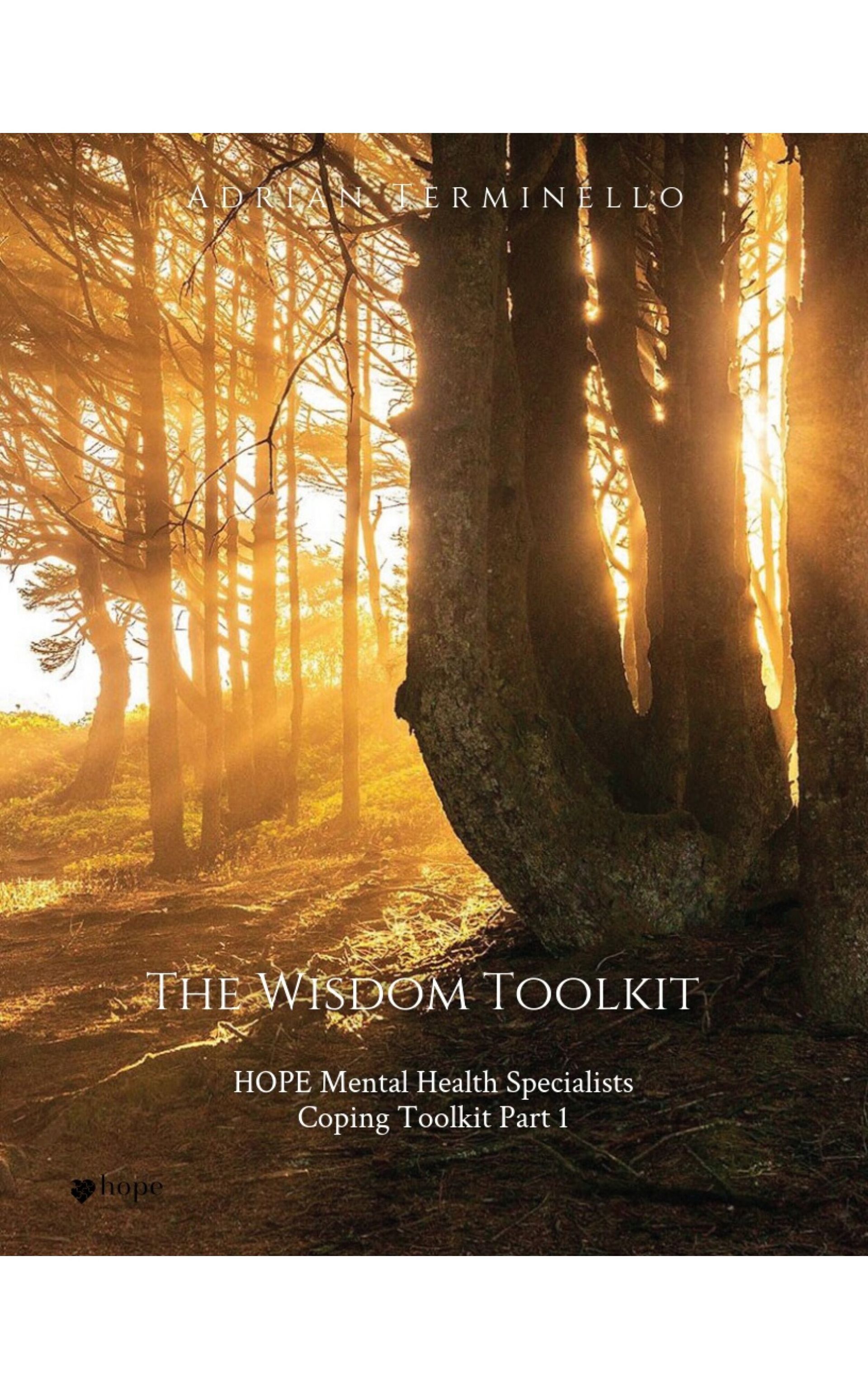 Wisdom Toolkit