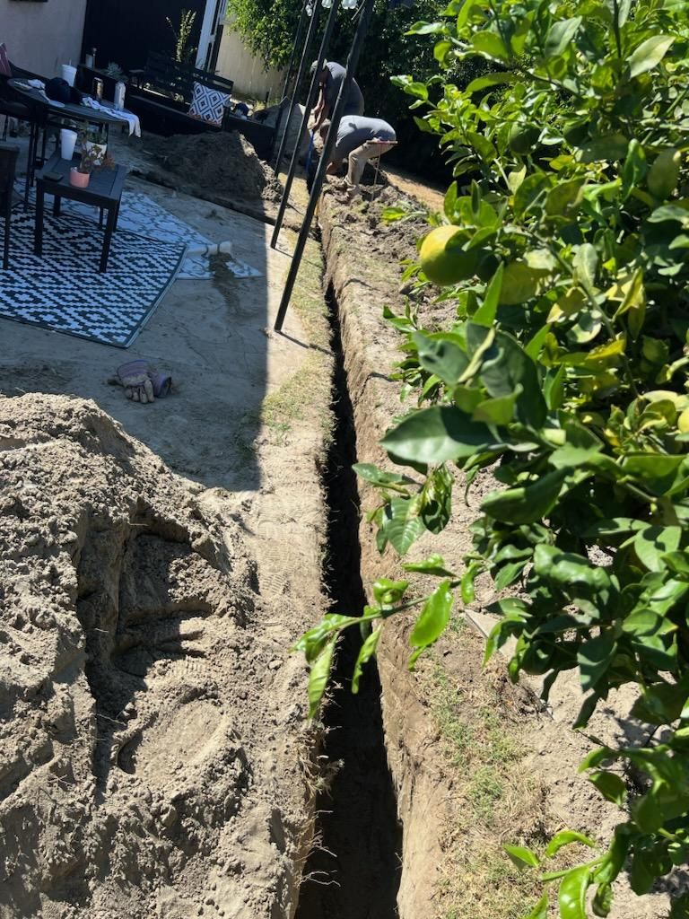 A Man is Digging a Hole in the Ground Next to a Tree