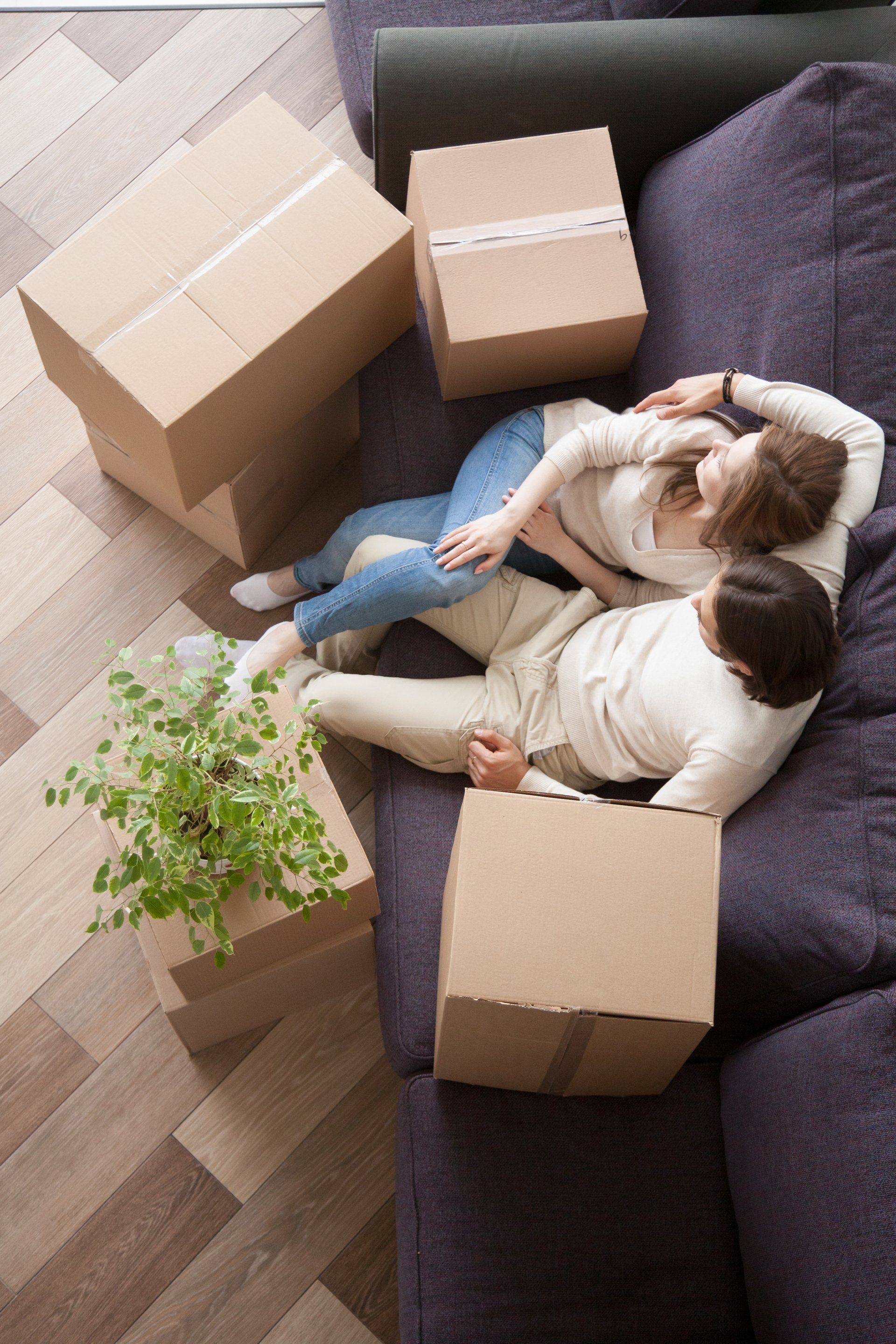 A couple relaxes on a sofa surrounded by cardboard moving boxes and a potted plant in a room with wood-look flooring.