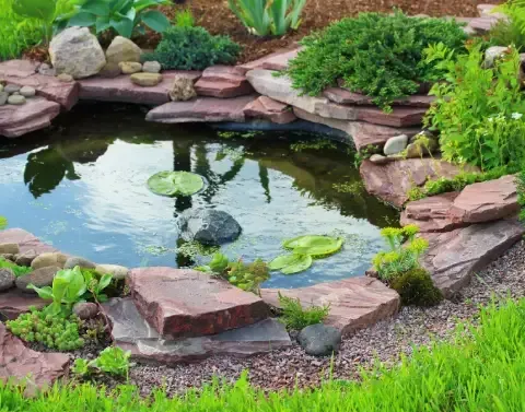 Backyard water feature adding a relaxing element to the landscape